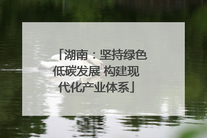 湖南：坚持绿色低碳发展 构建现代化产业体系