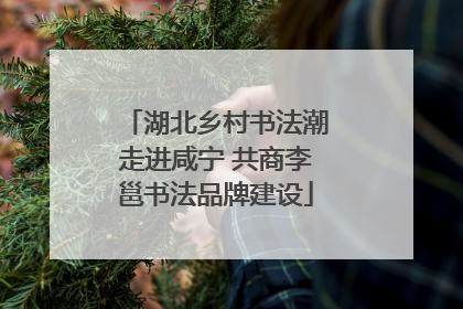 湖北乡村书法潮走进咸宁 共商李邕书法品牌建设