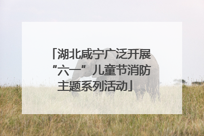 湖北咸宁广泛开展“六一”儿童节消防主题系列活动