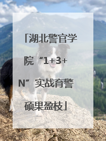 湖北警官学院“1+3+N”实战育警硕果盈枝