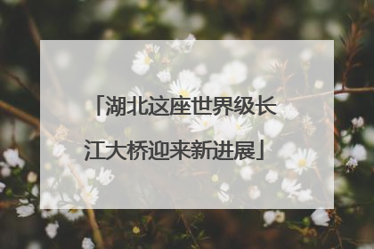 湖北这座世界级长江大桥迎来新进展