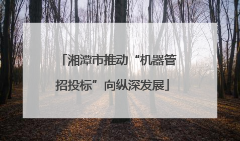 湘潭市推动“机器管招投标”向纵深发展