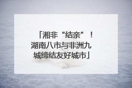 湘非“结亲”！湖南八市与非洲九城缔结友好城市