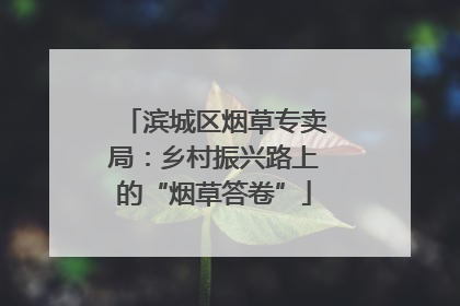 滨城区烟草专卖局：乡村振兴路上的“烟草答卷”