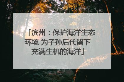 滨州：保护海洋生态环境 为子孙后代留下充满生机的海洋