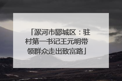 漯河市郾城区：驻村第一书记王元明带领群众走出致富路