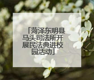 菏泽东明县马头司法所开展民法典进校园活动