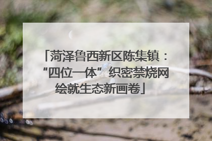 菏泽鲁西新区陈集镇：“四位一体”织密禁烧网 绘就生态新画卷
