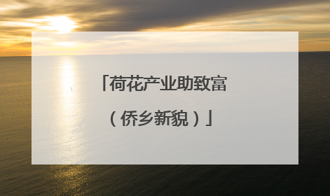 荷花产业助致富（侨乡新貌）