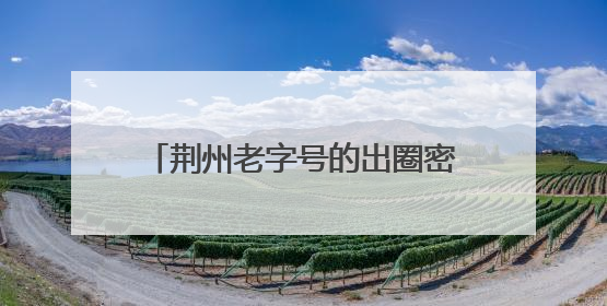 荆州老字号的出圈密码藏在这条街里……