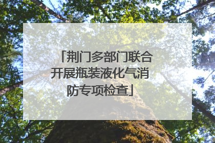 荆门多部门联合开展瓶装液化气消防专项检查