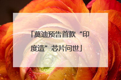 莫迪预告首款“印度造”芯片问世
