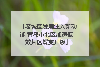 老城区发展注入新动能 青岛市北区加速低效片区蝶变升级