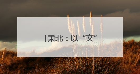 肃北：以“文”化人促效能 关爱干部出“心”招