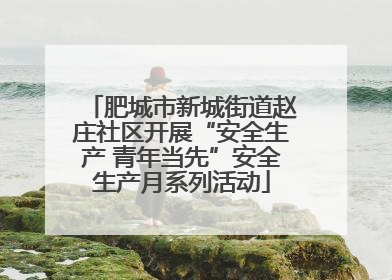 肥城市新城街道赵庄社区开展“安全生产 青年当先”安全生产月系列活动