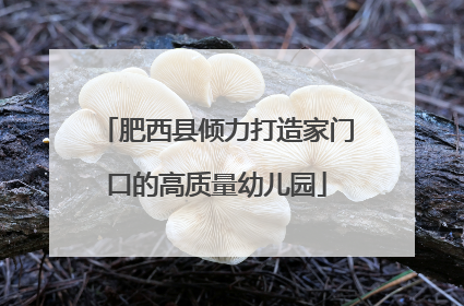 肥西县倾力打造家门口的高质量幼儿园