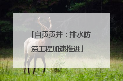 自贡贡井：排水防涝工程加速推进