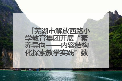 芜湖市解放西路小学教育集团开展“素养导向——内容结构化探索教学实践”数学专题研讨活动