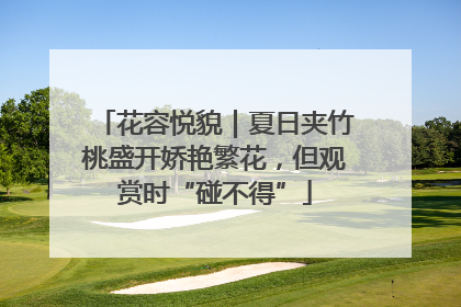 花容悦貌｜夏日夹竹桃盛开娇艳繁花，但观赏时“碰不得”