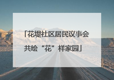 花堤社区居民议事会共绘“花”样家园