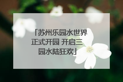 苏州乐园水世界正式开园 开启三园水陆狂欢