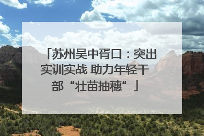 苏州吴中胥口：突出实训实战 助力年轻干部“壮苗抽穗”