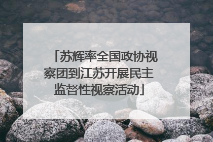 苏辉率全国政协视察团到江苏开展民主监督性视察活动