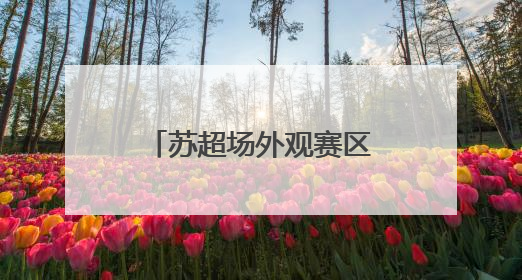 苏超场外观赛区座无虚席，常州球迷雨中撑伞观赛：希望能进一球