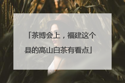 茶博会上，福建这个县的高山白茶有看点