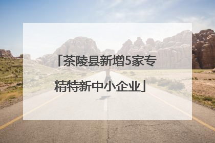 茶陵县新增5家专精特新中小企业