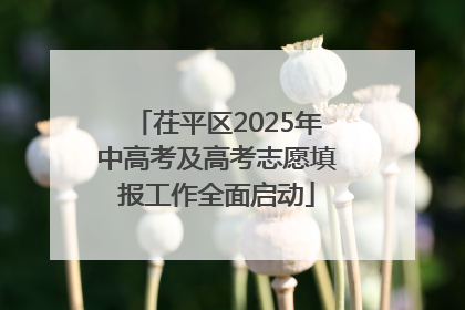 茌平区2025年中高考及高考志愿填报工作全面启动