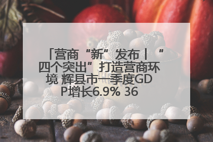 营商“新”发布丨“四个突出”打造营商环境 辉县市一季度GDP增长6.9% 36个重点项目落地