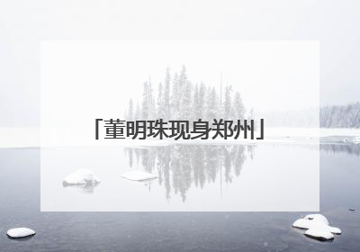 董明珠现身郑州