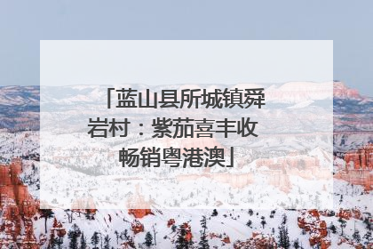 蓝山县所城镇舜岩村：紫茄喜丰收 畅销粤港澳
