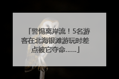 警惕离岸流！5名游客在北海银滩游玩时差点被它夺命……