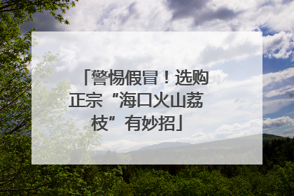 警惕假冒！选购正宗“海口火山荔枝”有妙招