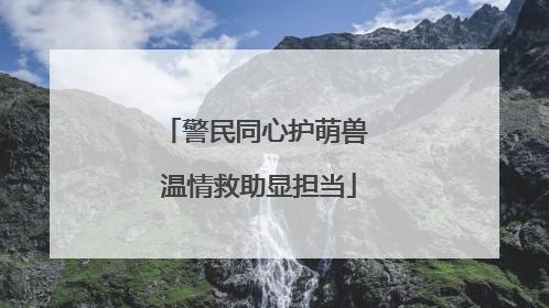 警民同心护萌兽 温情救助显担当