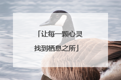让每一颗心灵找到栖息之所