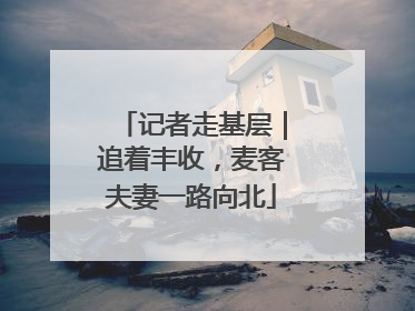 记者走基层｜追着丰收，麦客夫妻一路向北