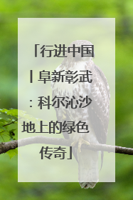 行进中国丨阜新彰武：科尔沁沙地上的绿色传奇