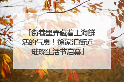 街巷里弄藏着上海鲜活的气息！徐家汇街道璀璨生活节启幕