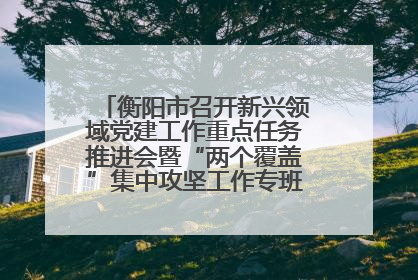 衡阳市召开新兴领域党建工作重点任务推进会暨“两个覆盖”集中攻坚工作专班 第一次会议