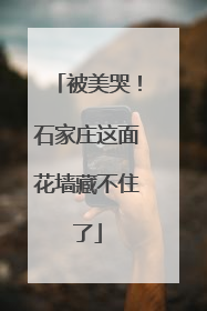 被美哭！石家庄这面花墙藏不住了