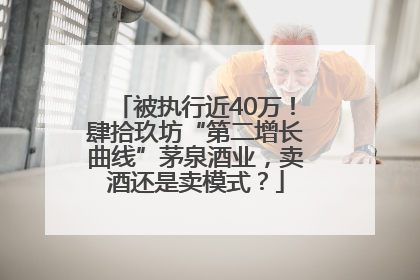被执行近40万！肆拾玖坊“第二增长曲线”茅泉酒业，卖酒还是卖模式？