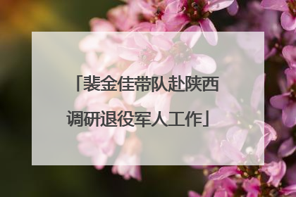 裴金佳带队赴陕西调研退役军人工作