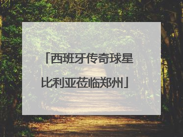 西班牙传奇球星 比利亚莅临郑州