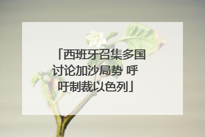 西班牙召集多国讨论加沙局势 呼吁制裁以色列