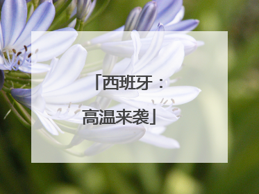 西班牙：高温来袭