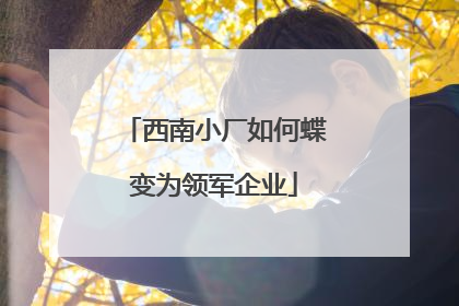 西南小厂如何蝶变为领军企业