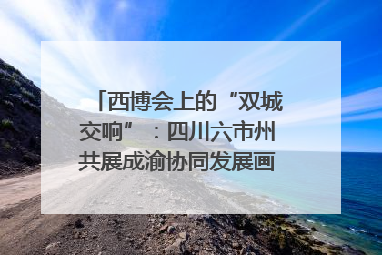 西博会上的“双城交响”：四川六市州共展成渝协同发展画卷｜西博视界